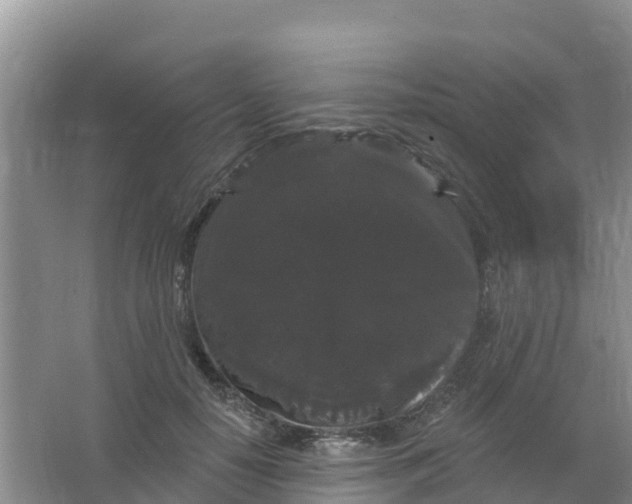 X0000066930650200604071847