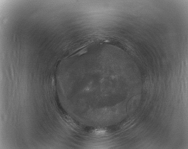 X0000066930651200604071847