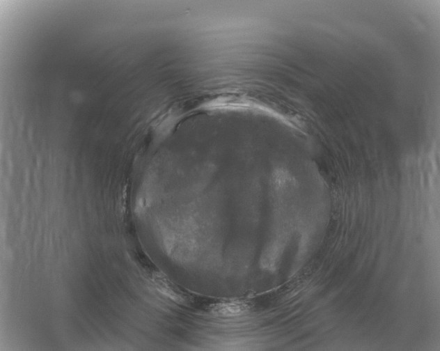 X0000066930652200604071847