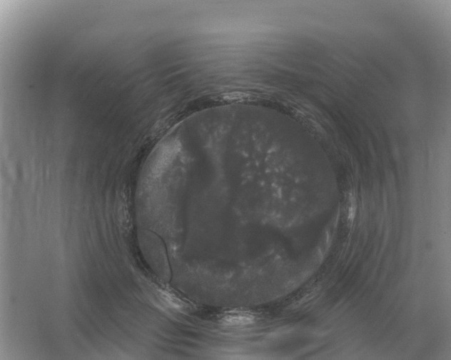 X0000066930653200604071847