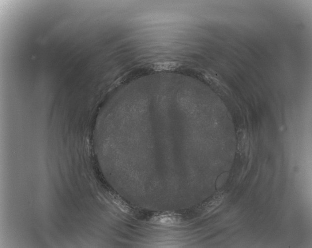 X0000066930655200604071847