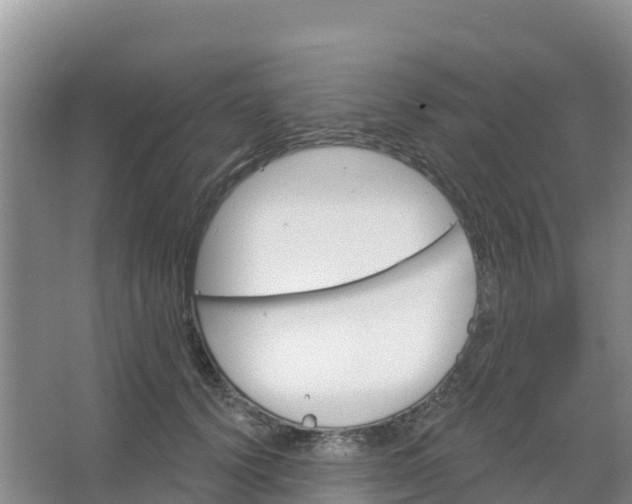 X0000066930656200604071847