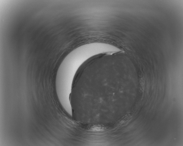 X0000066930657200604071847