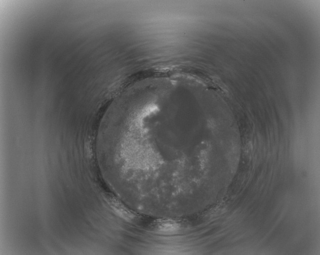 X0000066930658200604071847