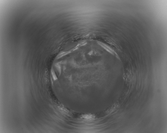 X0000066930659200604071847