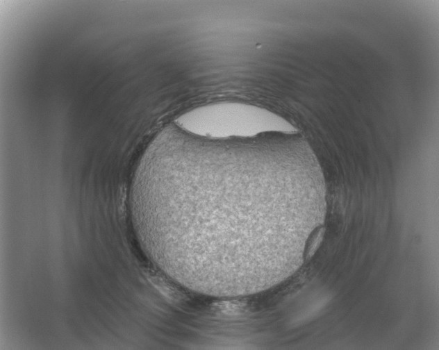 X0000066930660200604071848