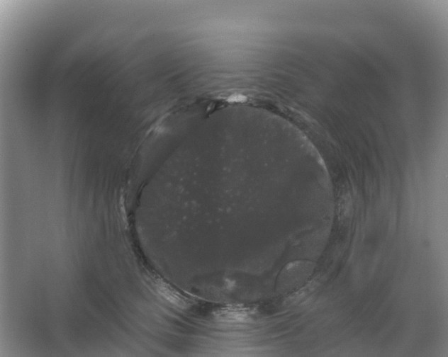 X0000066930661200604071848