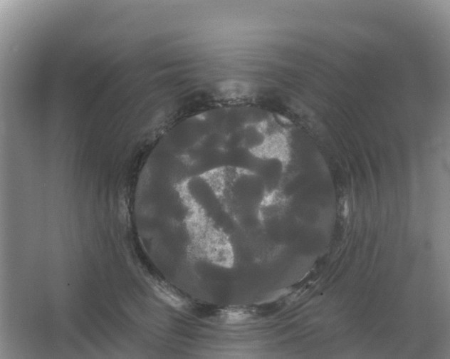 X0000066930662200604071848