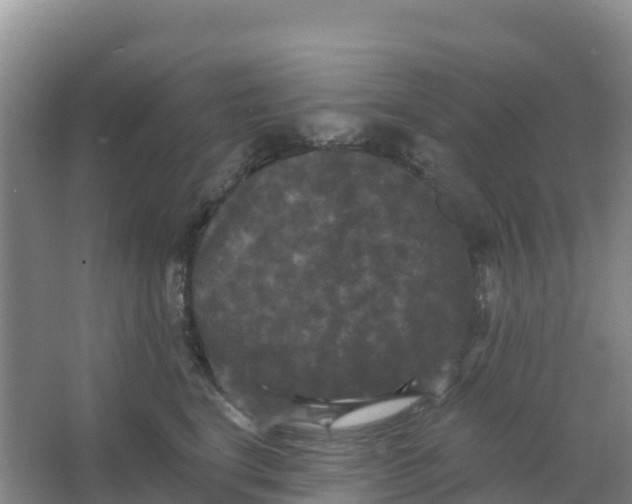 X0000066930664200604071848