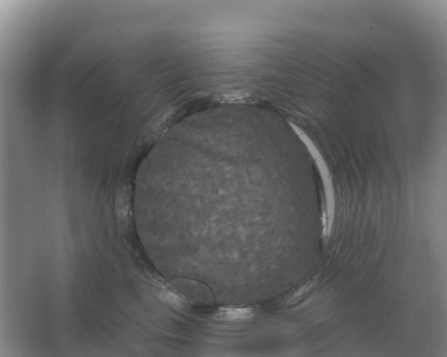 X0000066930665200604071848