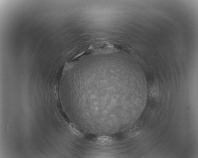 X0000066930666200604071848