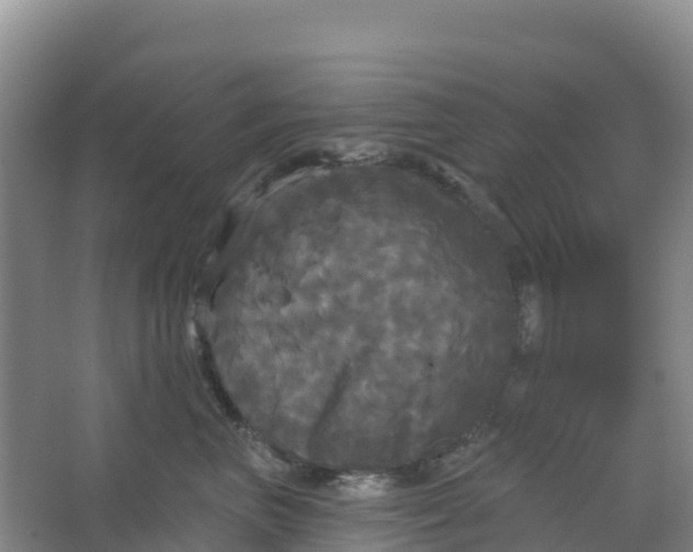 X0000066930667200604071848