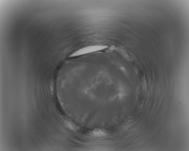 X0000066930668200604071848