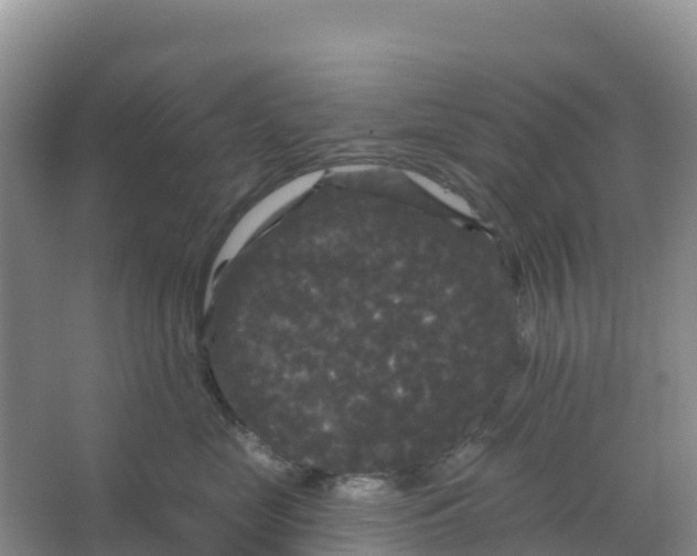 X0000066930669200604071848