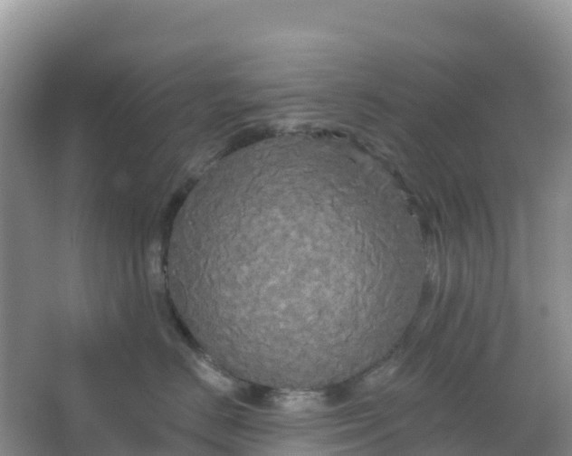 X0000066930670200604071848