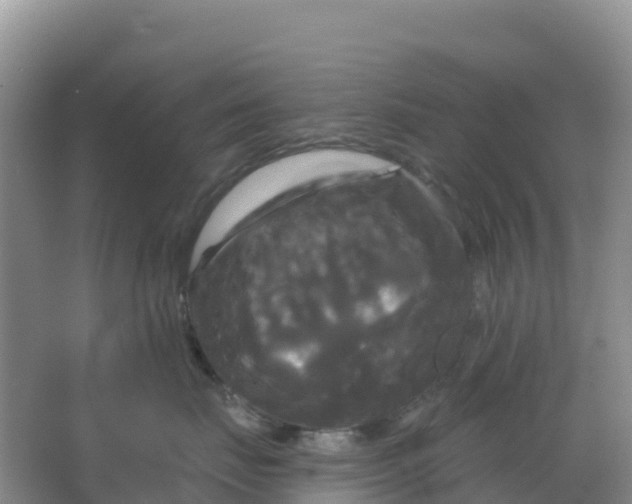 X0000066930671200604071848