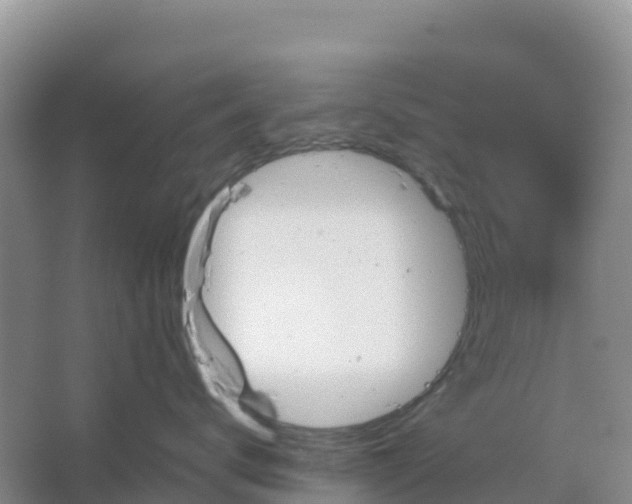 X0000066930672200604071848