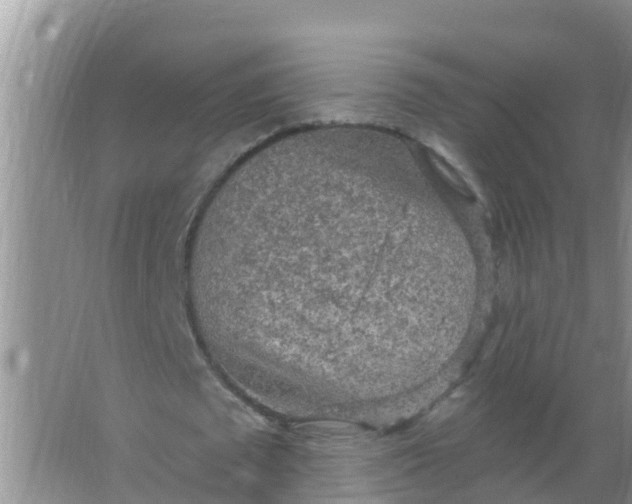 X0000066930673200604071847