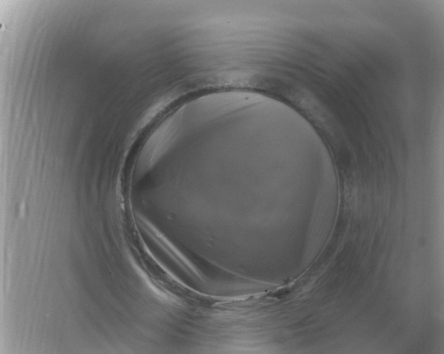 X0000066930674200604071847