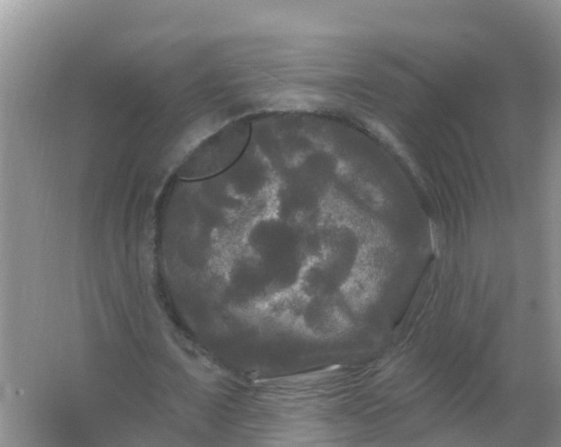 X0000066930675200604071847