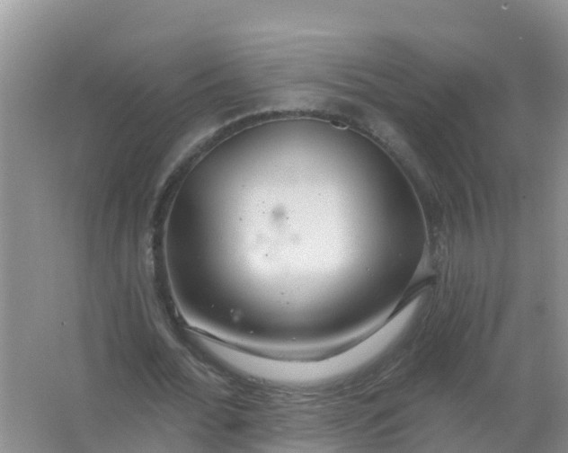 X0000066930676200604071847