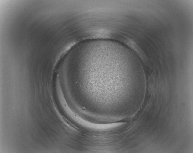 X0000066930677200604071847