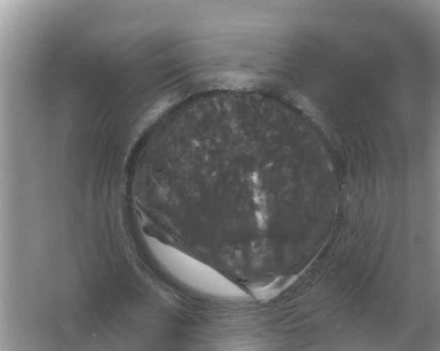 X0000066930679200604071847