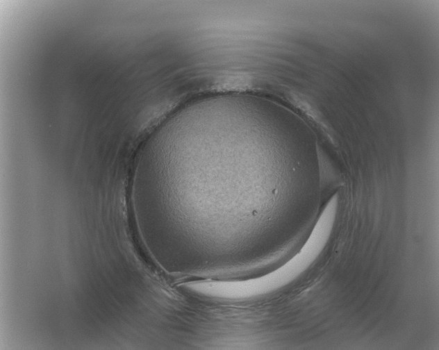 X0000066930681200604071847