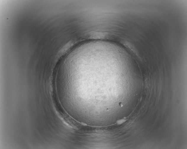 X0000066930682200604071847