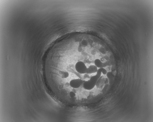 X0000066930683200604071847