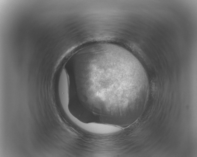 X0000066930684200604071847