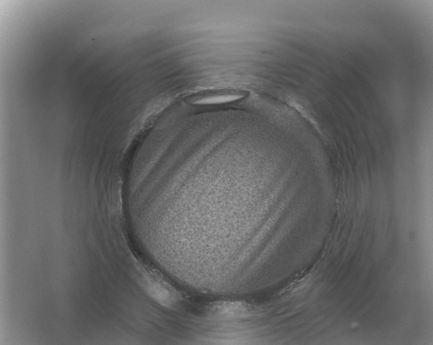 X0000066930685200604071847