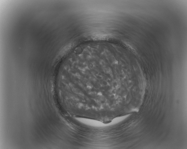 X0000066930687200604071847