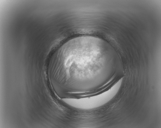 X0000066930688200604071847