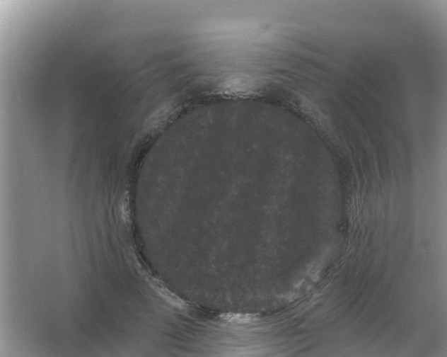 X0000066930689200604071847