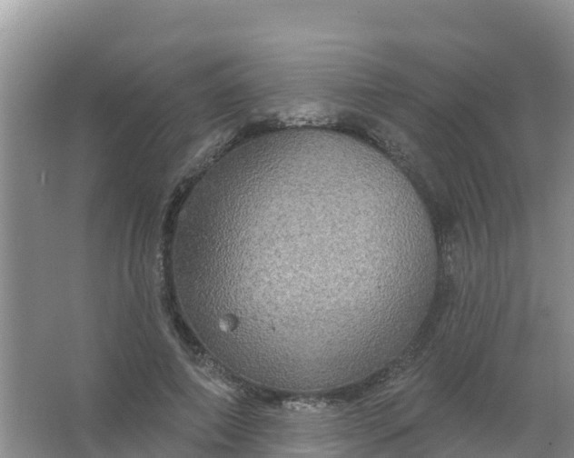 X0000066930690200604071847