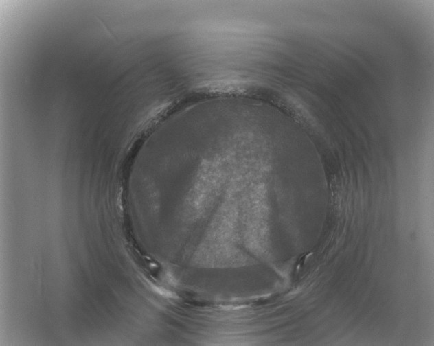 X0000066930692200604071847