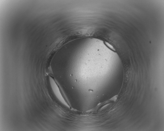 X0000066930693200604071847