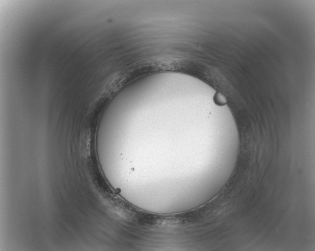 X0000066930694200604071847