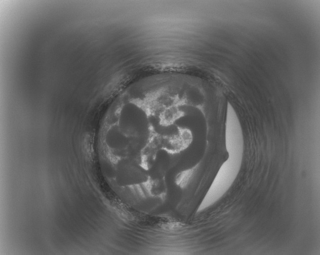 X0000066930695200604071847