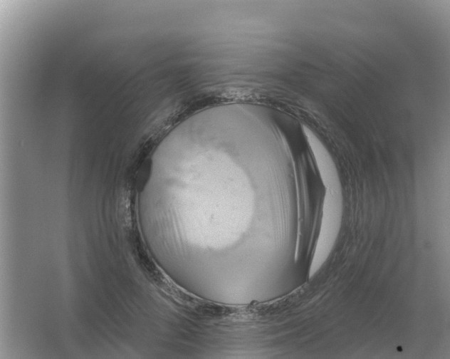 X0000066930696200604071847