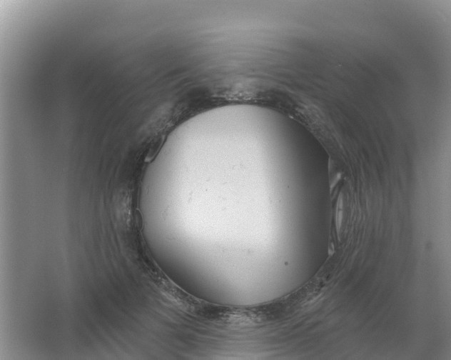 X0000066930697200604071847