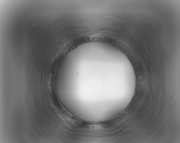 X0000066930698200604071846