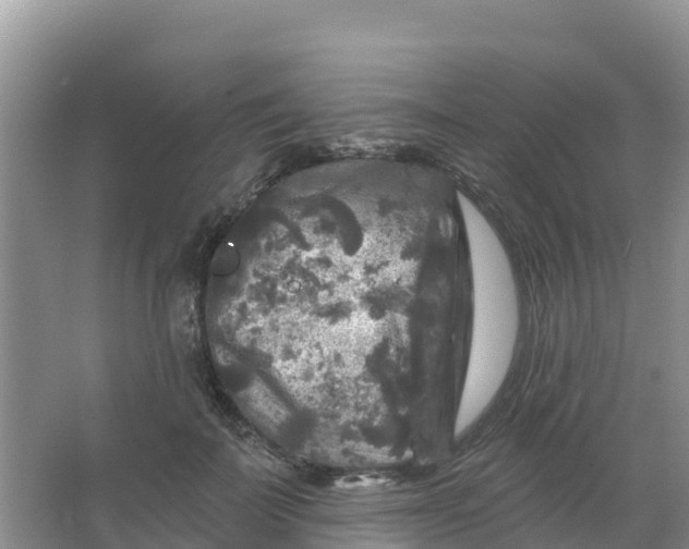 X0000066930699200604071846