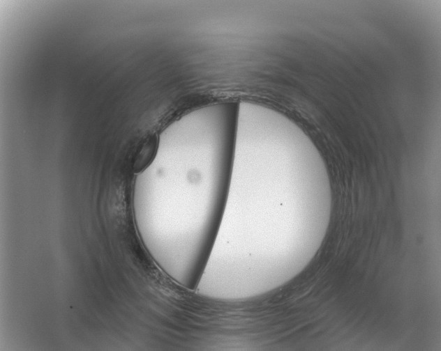 X0000066930700200604071846