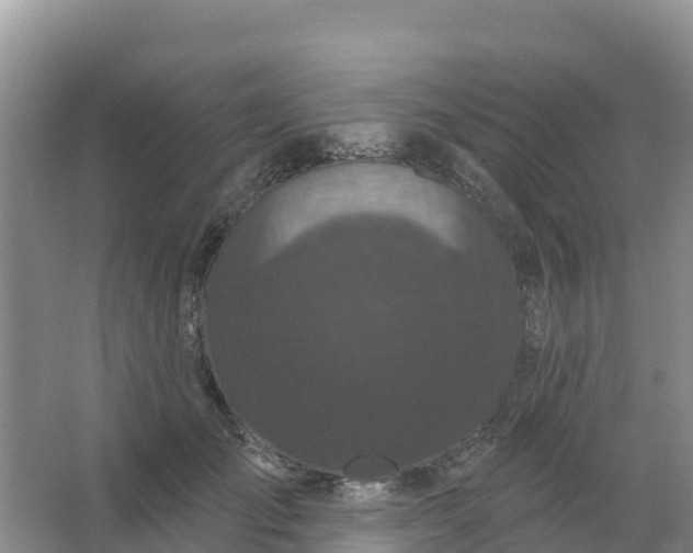 X0000066930701200604071846