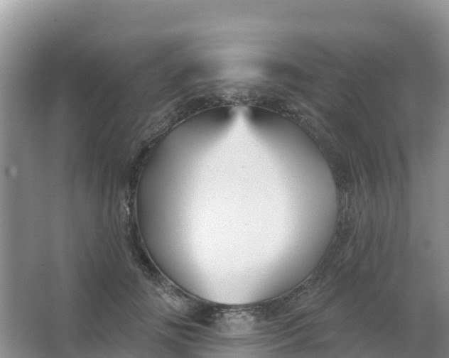 X0000066930702200604071846