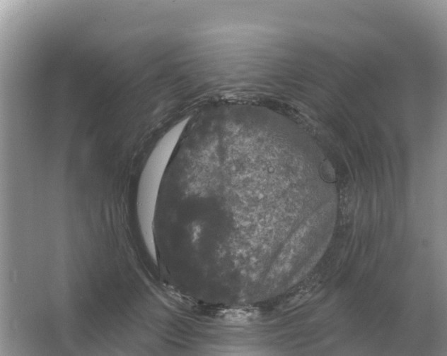 X0000066930703200604071846