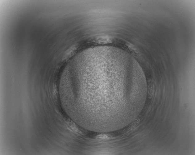 X0000066930704200604071846