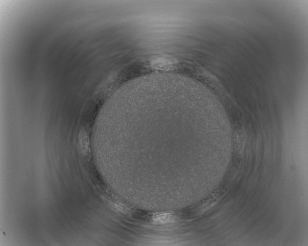 X0000066930705200604071846